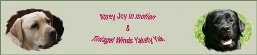 Atrey Joy in motion a Tintagel Winds Yakety Yak