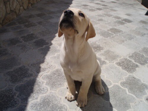 3. júla 2007 12:38:19