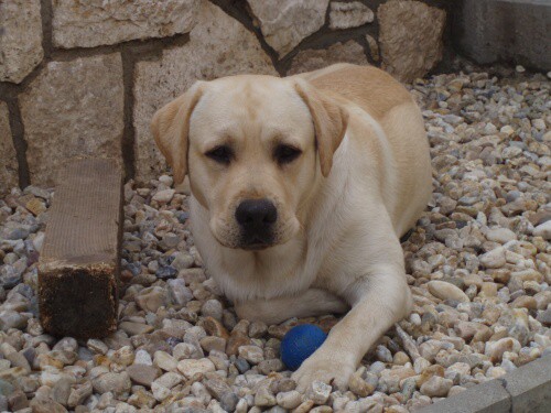 27. júna 2008 11:04:48