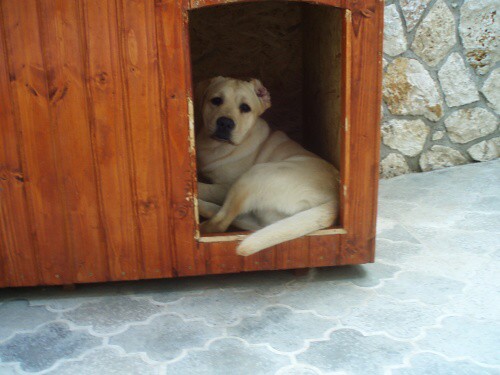 16. júna 2008 13:46:47