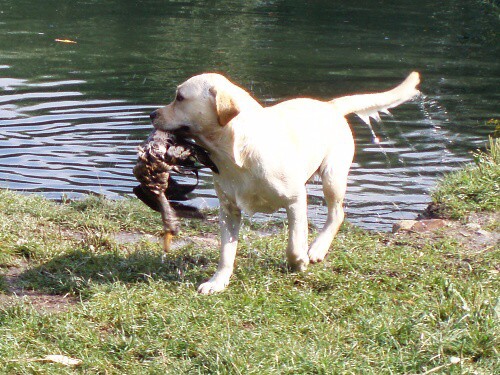 27. augusta 2008 15:26:24