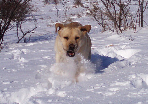 22. februára 2009 10:25:03