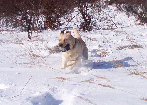 22. februára 2009 10:47:07