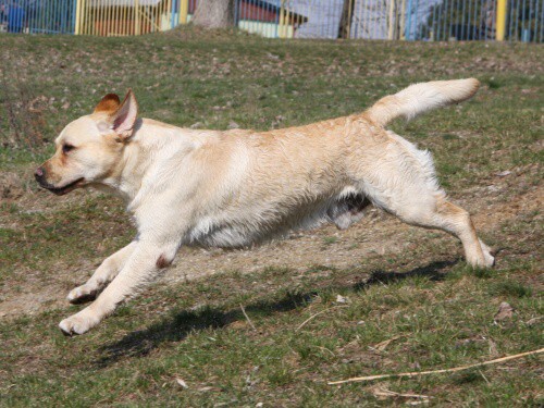 4. apríla 2009 15:16:47