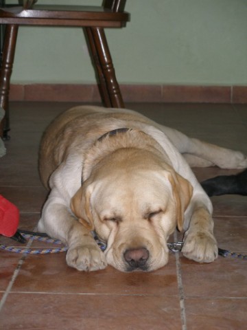 4. apríla 2009 13:25:14