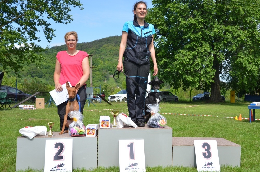 sobota, 18. mája 2019 10:19:41