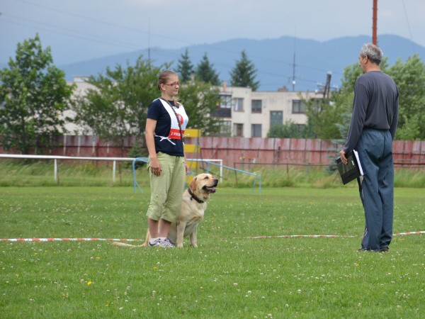 18. júna 2011 9:43:16