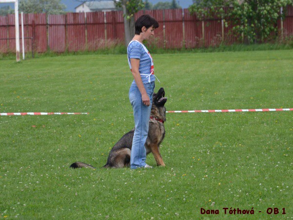 18. júna 2011 10:24:43