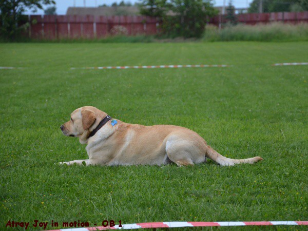 18. júna 2011 10:58:58