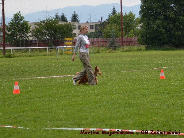 18. júna 2011 12:45:45