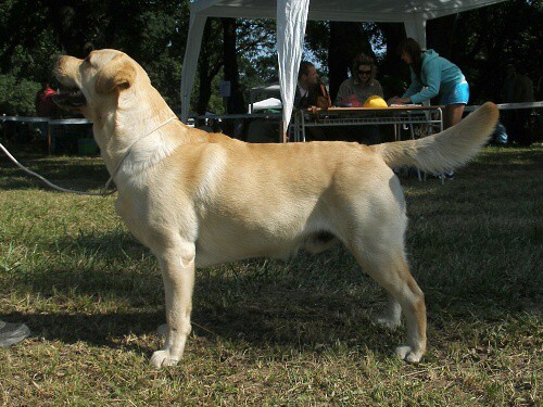 12. júla 2009 9:06:49
