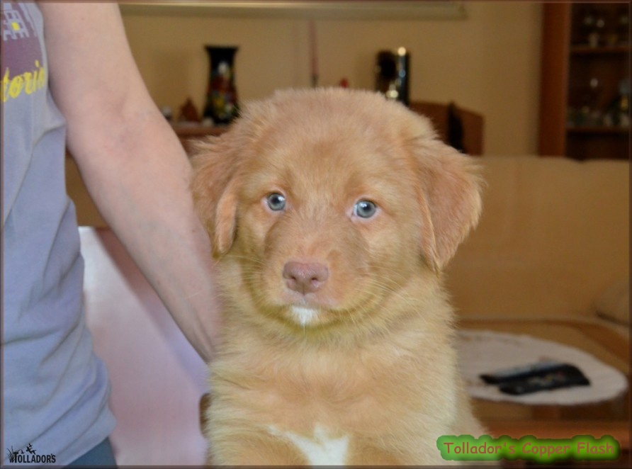 24. apríla 2017 17:16:26