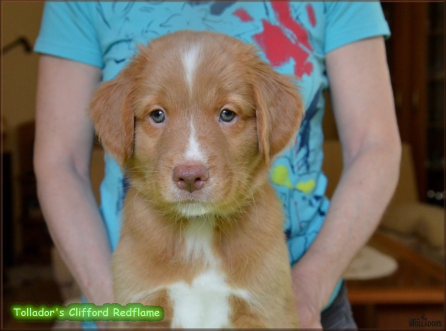 26. apríla 2017 14:31:05