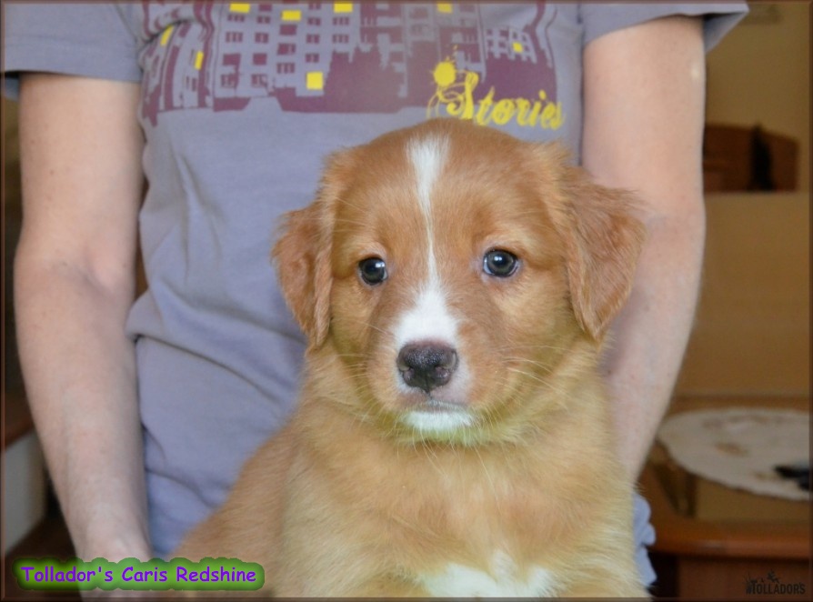 24. apríla 2017 17:25:53