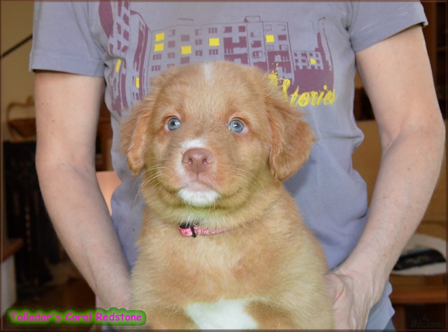 24. apríla 2017 17:28:11