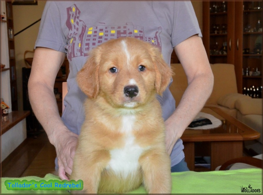 24. apríla 2017 17:29:42