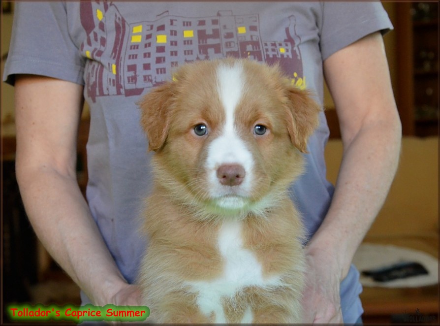 24. apríla 2017 17:32:21