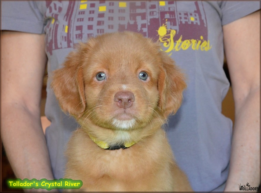 24. apríla 2017 17:33:14