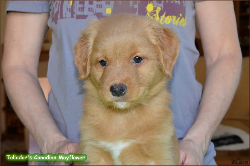 24. apríla 2017 17:34:33