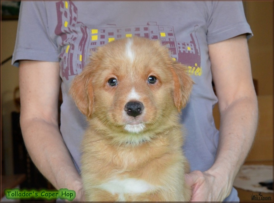 24. apríla 2017 17:39:09