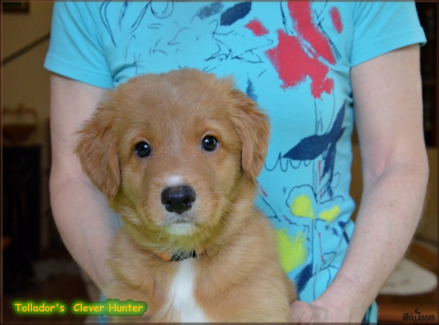 26. apríla 2017 14:29:55