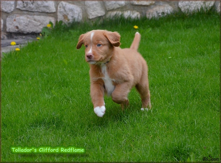 26. apríla 2017 14:33:51