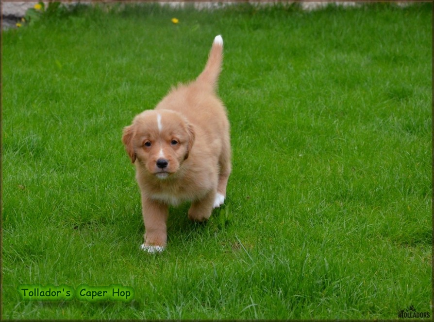 26. apríla 2017 14:35:52