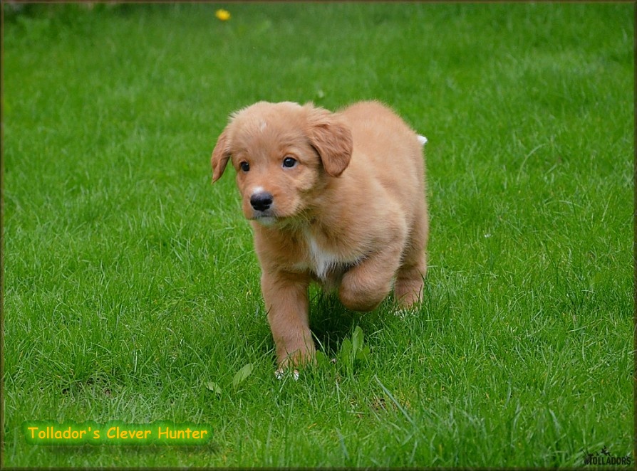 26. apríla 2017 14:37:06