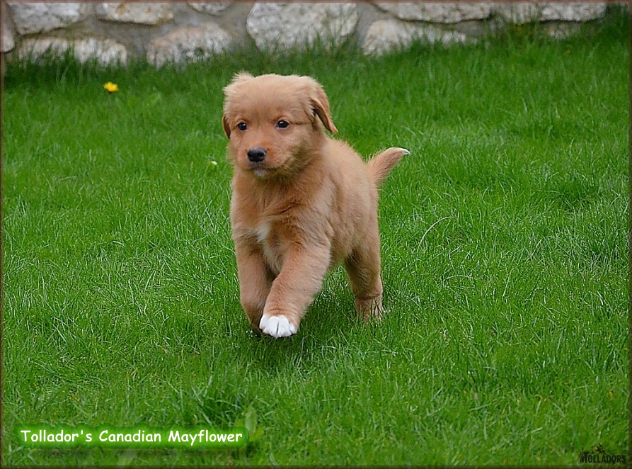 26. apríla 2017 14:38:17