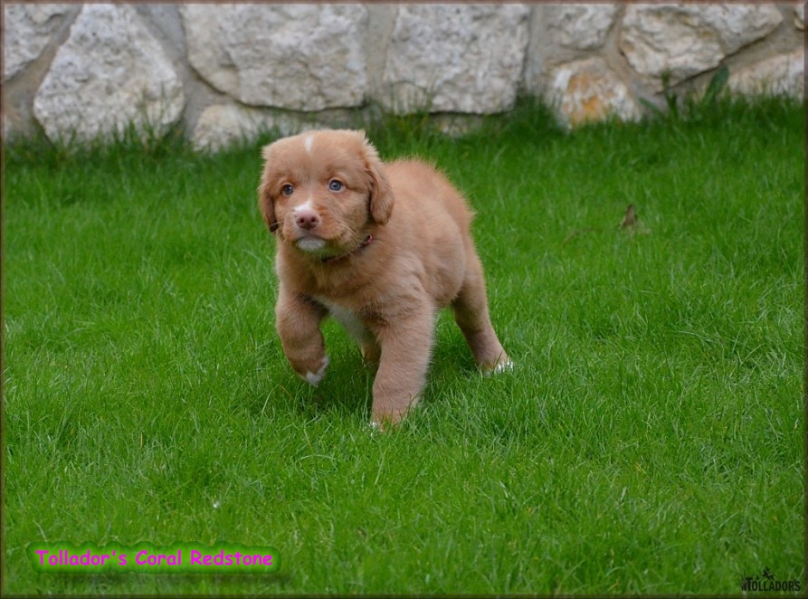 26. apríla 2017 14:39:06