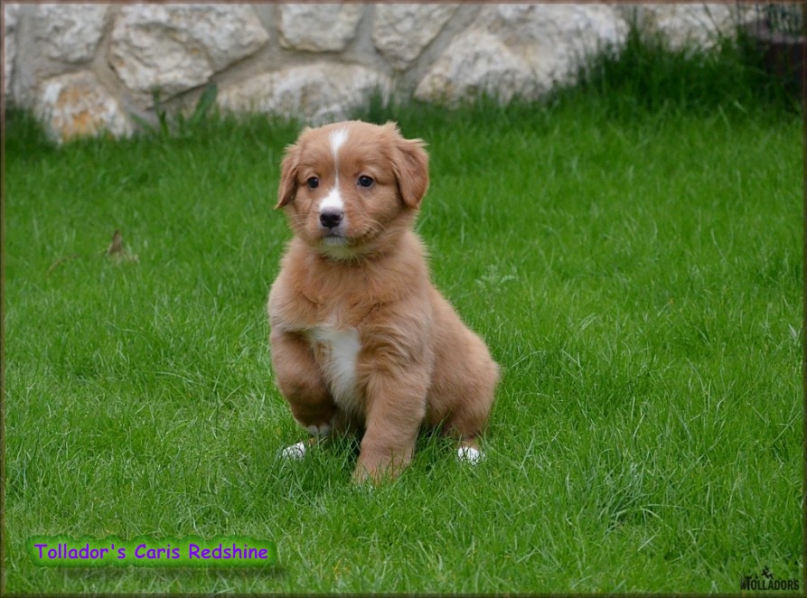 26. apríla 2017 14:40:54