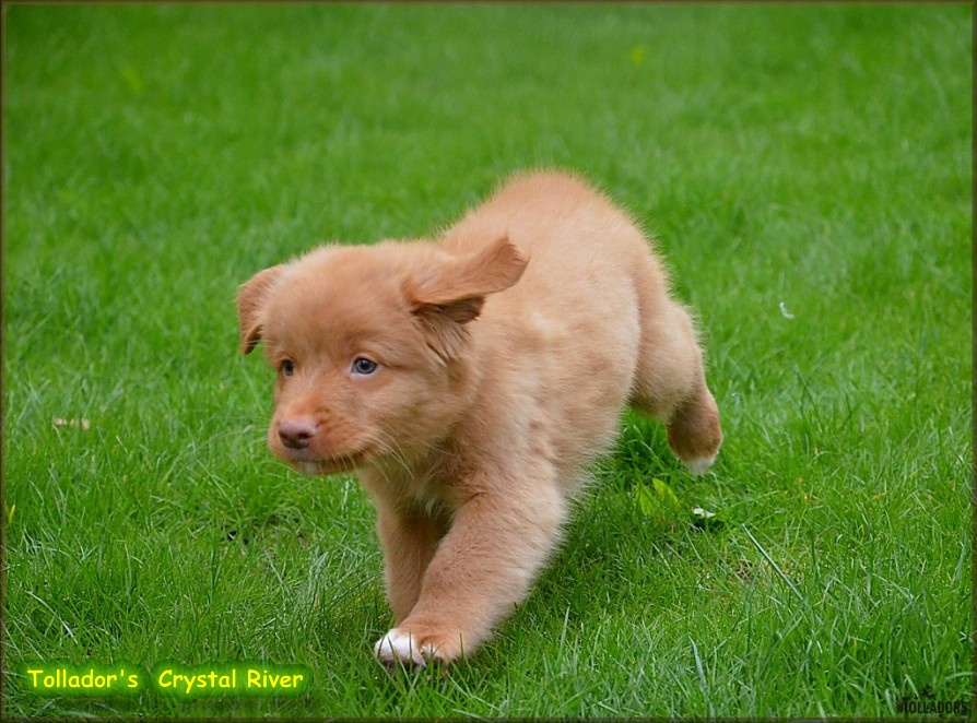 26. apríla 2017 14:42:36