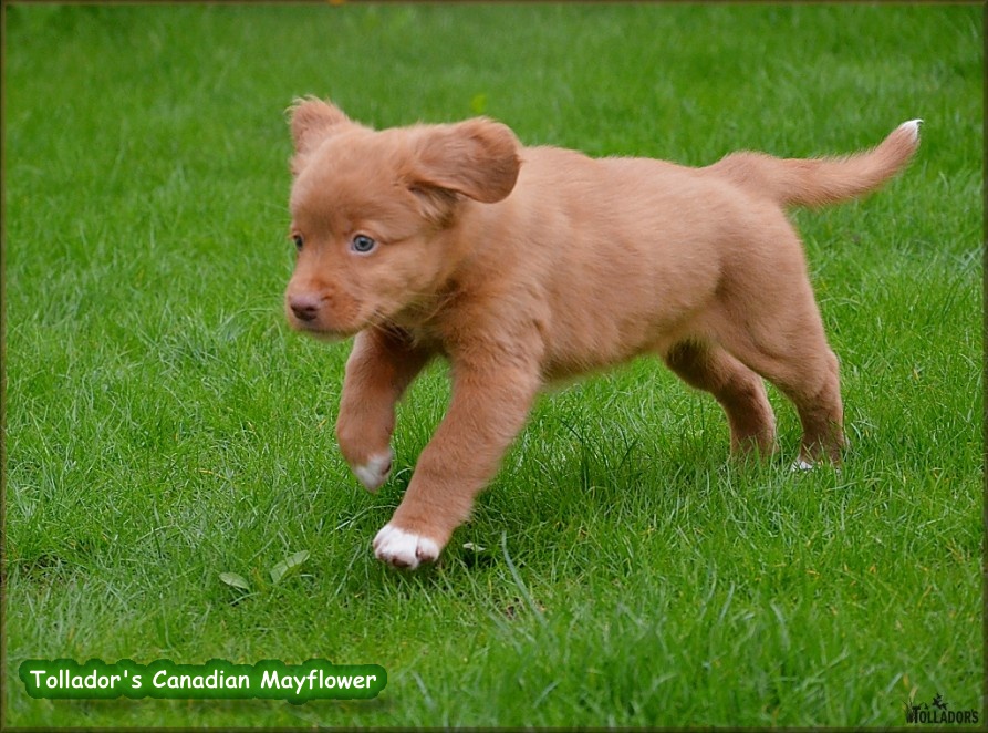 26. apríla 2017 14:43:57