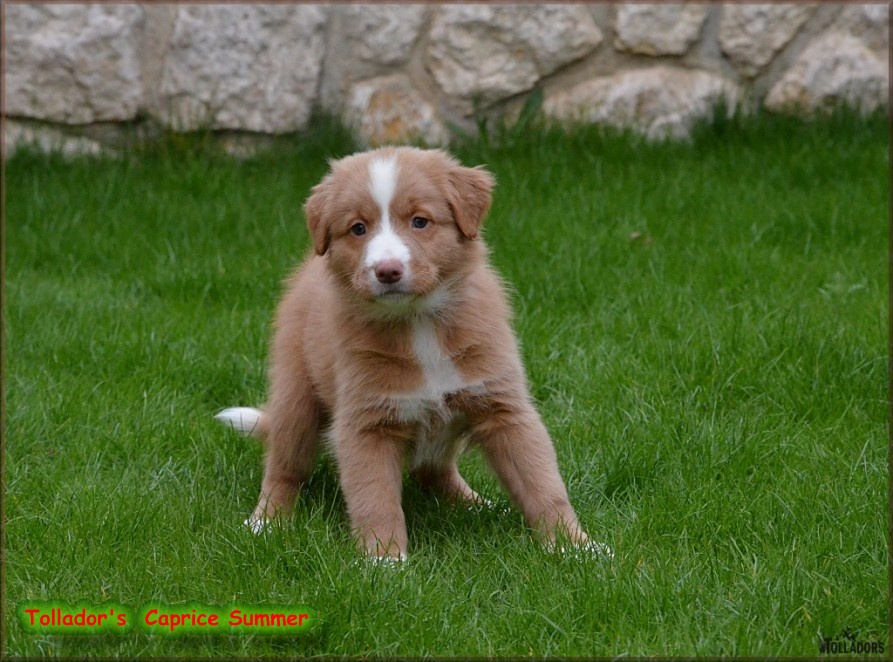 26. apríla 2017 14:45:17