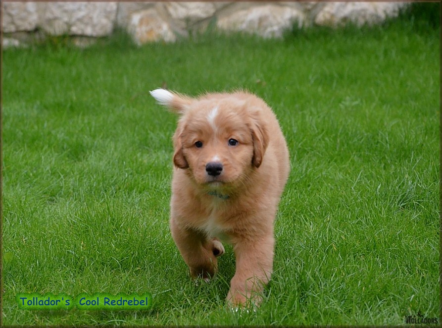 26. apríla 2017 14:46:44