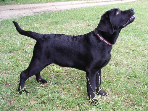6. júla 2008 12:01:20