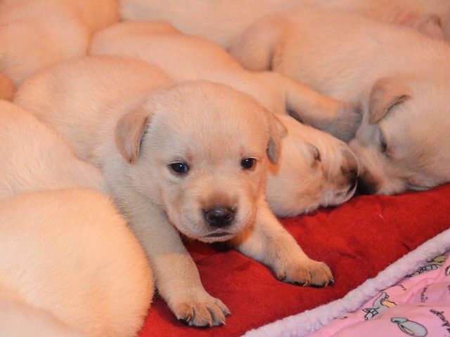 21. apríla 2012 18:15:09