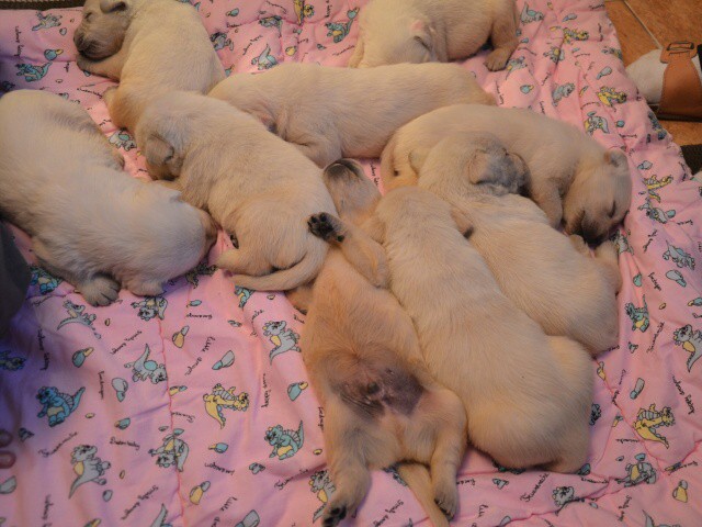 21. apríla 2012 18:23:18