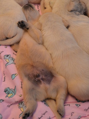 21. apríla 2012 18:23:18