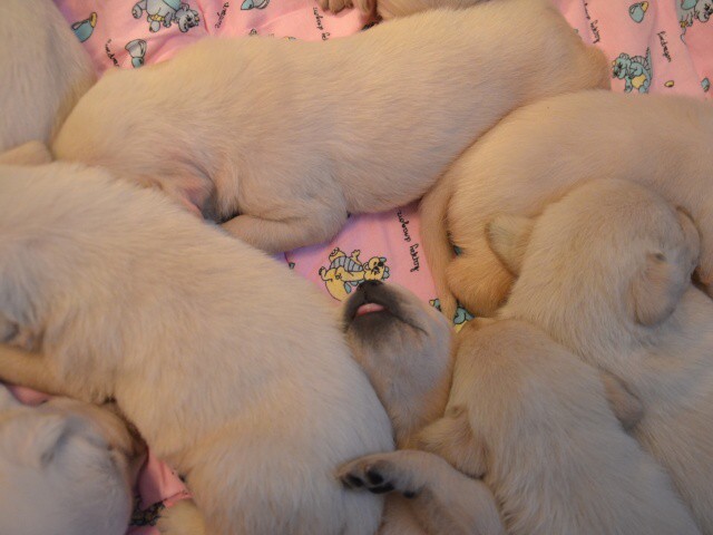 21. apríla 2012 18:23:27