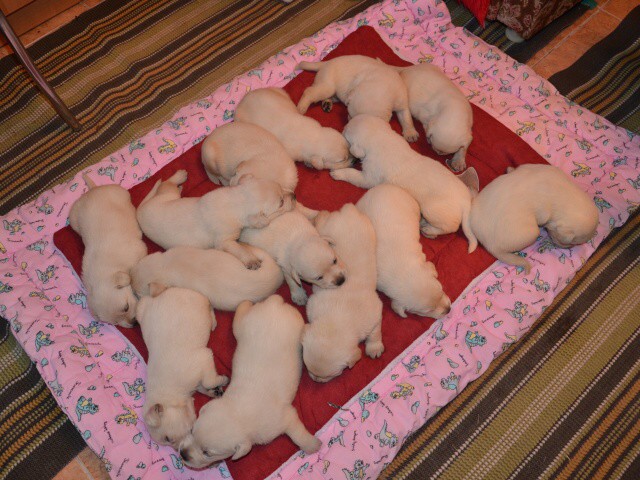 21. apríla 2012 18:13:30