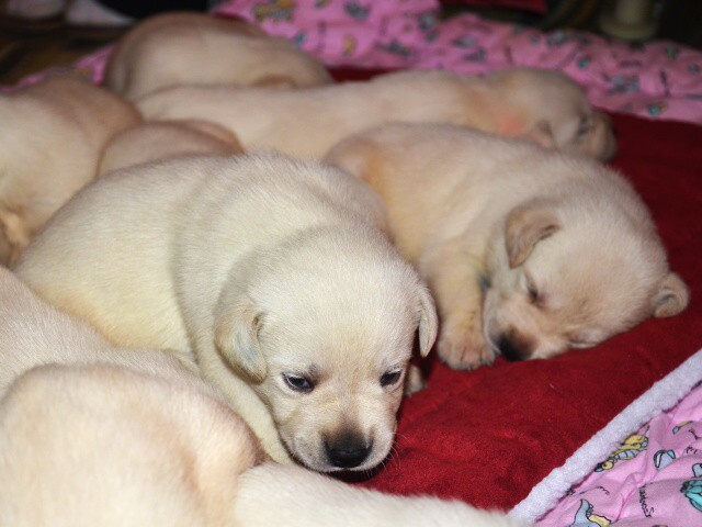 21. apríla 2012 18:14:44