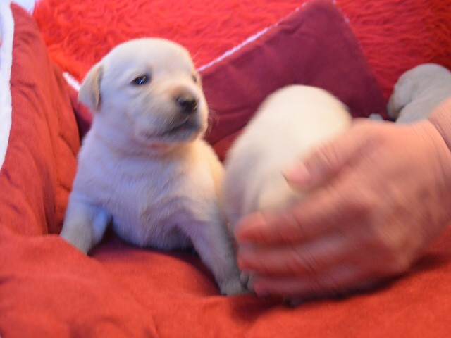 21. apríla 2012 18:21:35