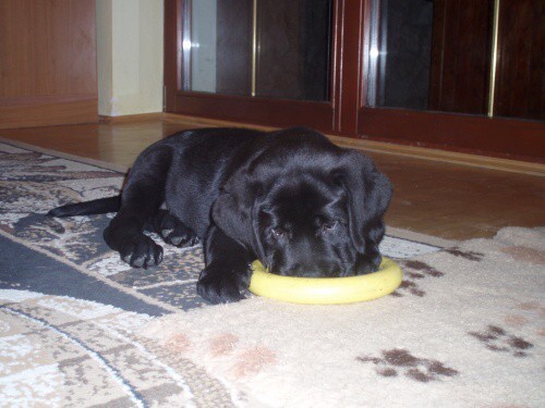 6. mája 2008 21:05:53