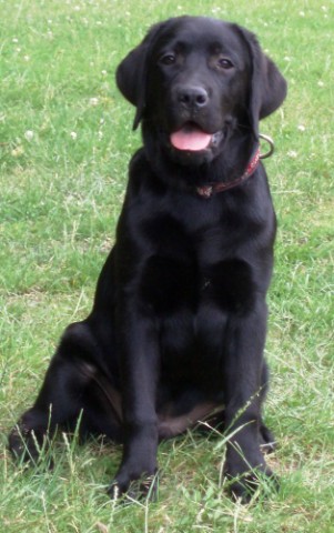 6. júla 2008 12:02:15