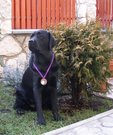 25. januára 2009 16:54:05