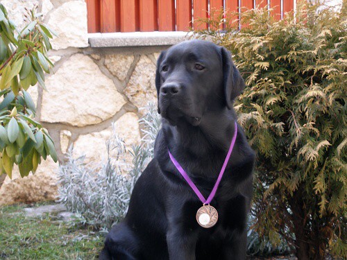 25. januára 2009 16:54:26