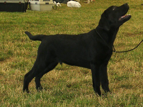 20. júla 2008 14:27:28